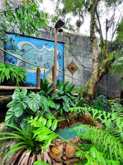 Pousada Piratas Do Embau Guarda do Embau Bagian luar foto